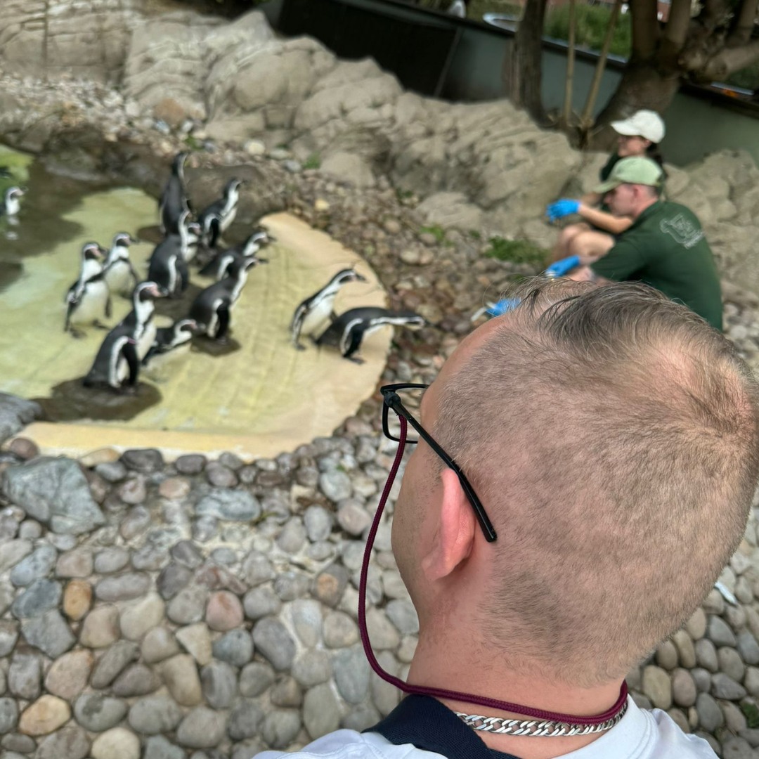 Supporting Simon at Twycross Zoo.